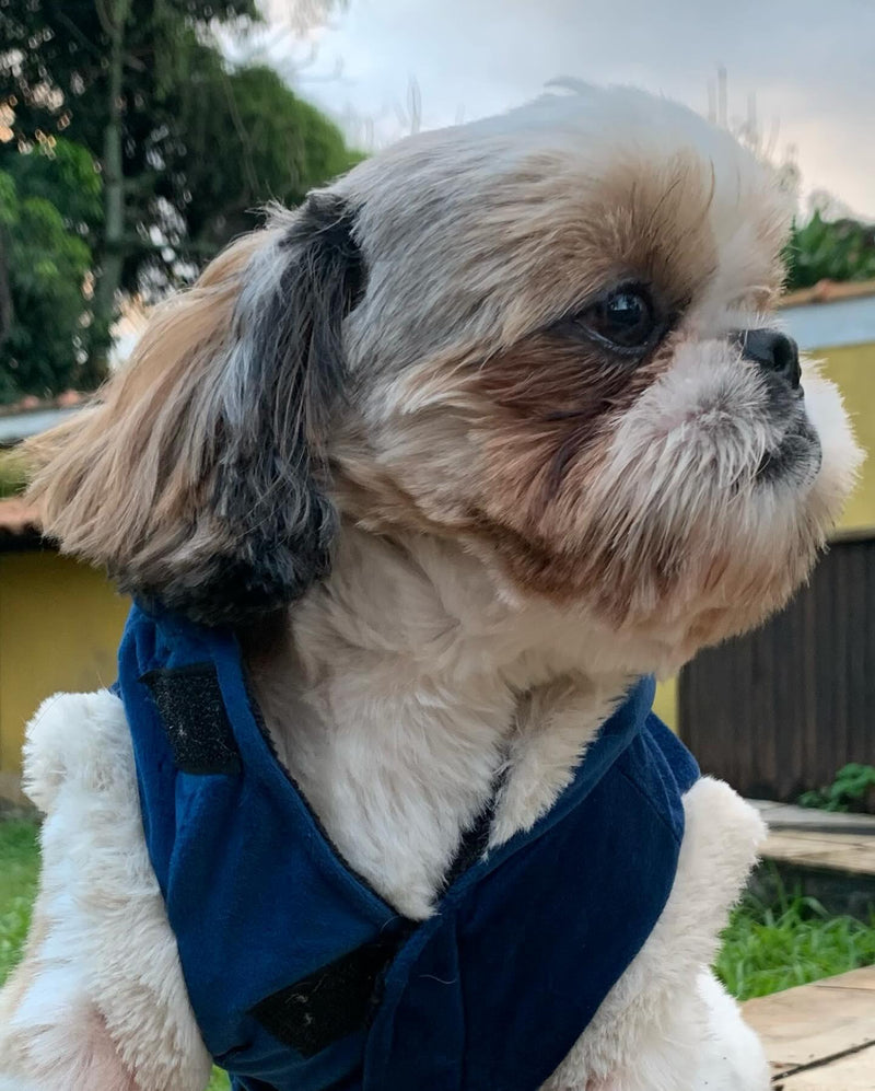 Roupinha Para Cachorro - Casaco Berlim