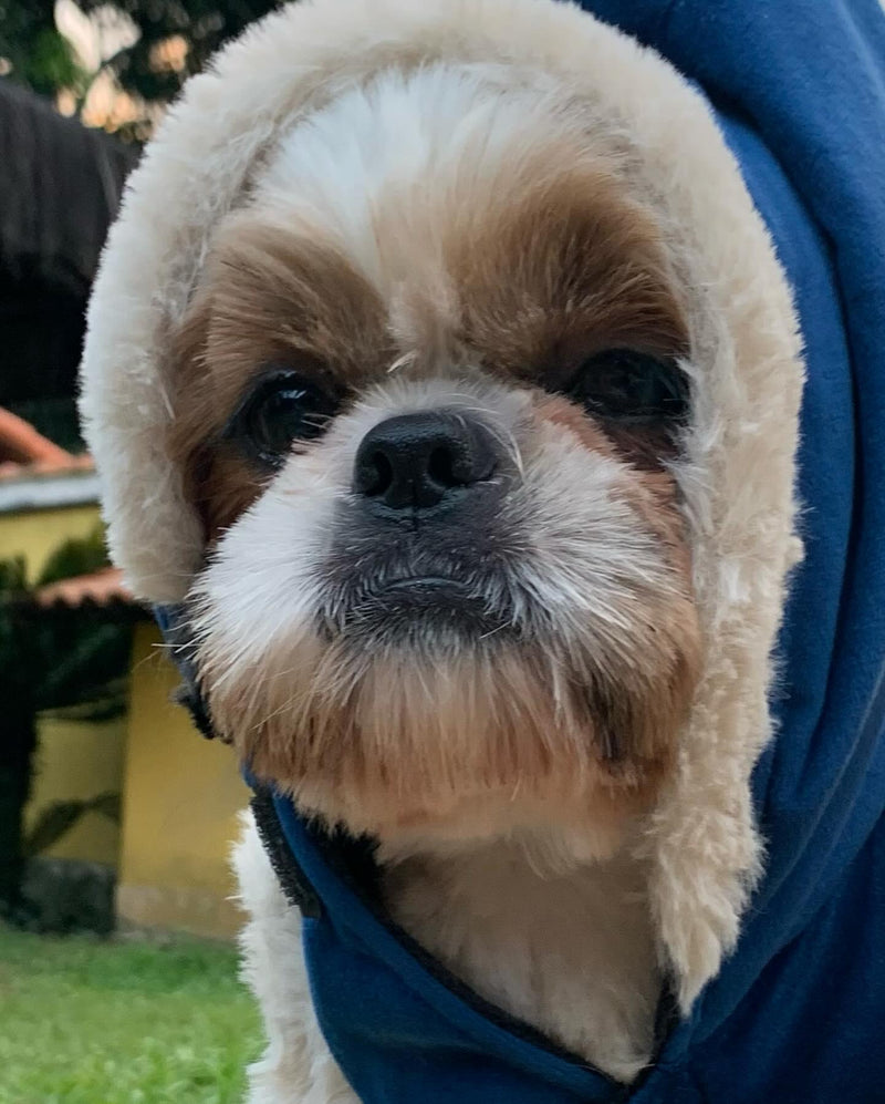 Roupinha Para Cachorro - Casaco Berlim